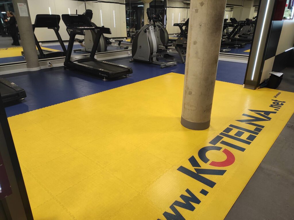 Fitness centrum, Česko