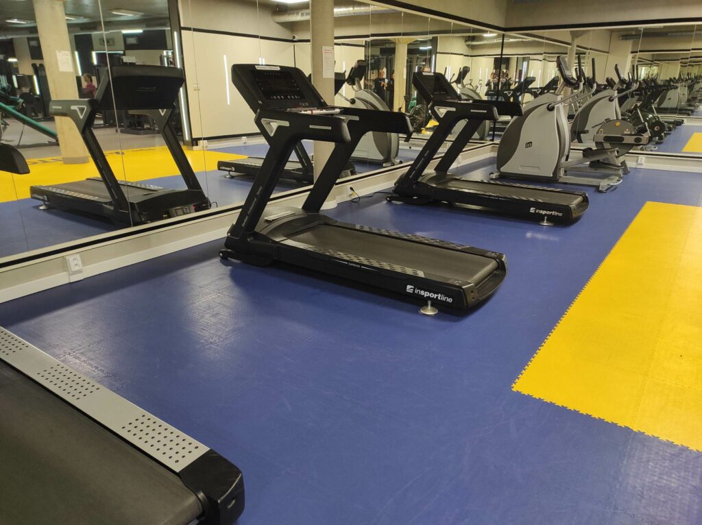 Fitness centrum, Česko